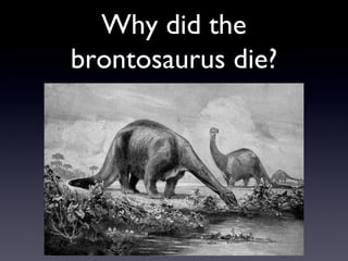 Why did the brontosaurus die? 
