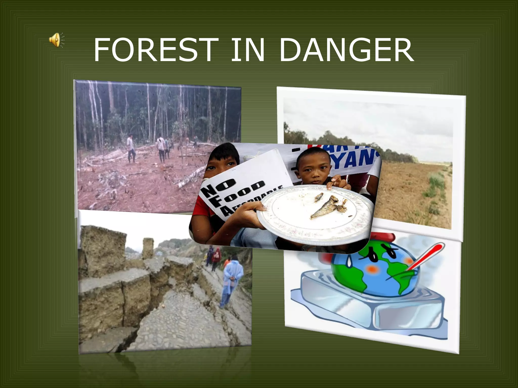FOREST IN DANGER