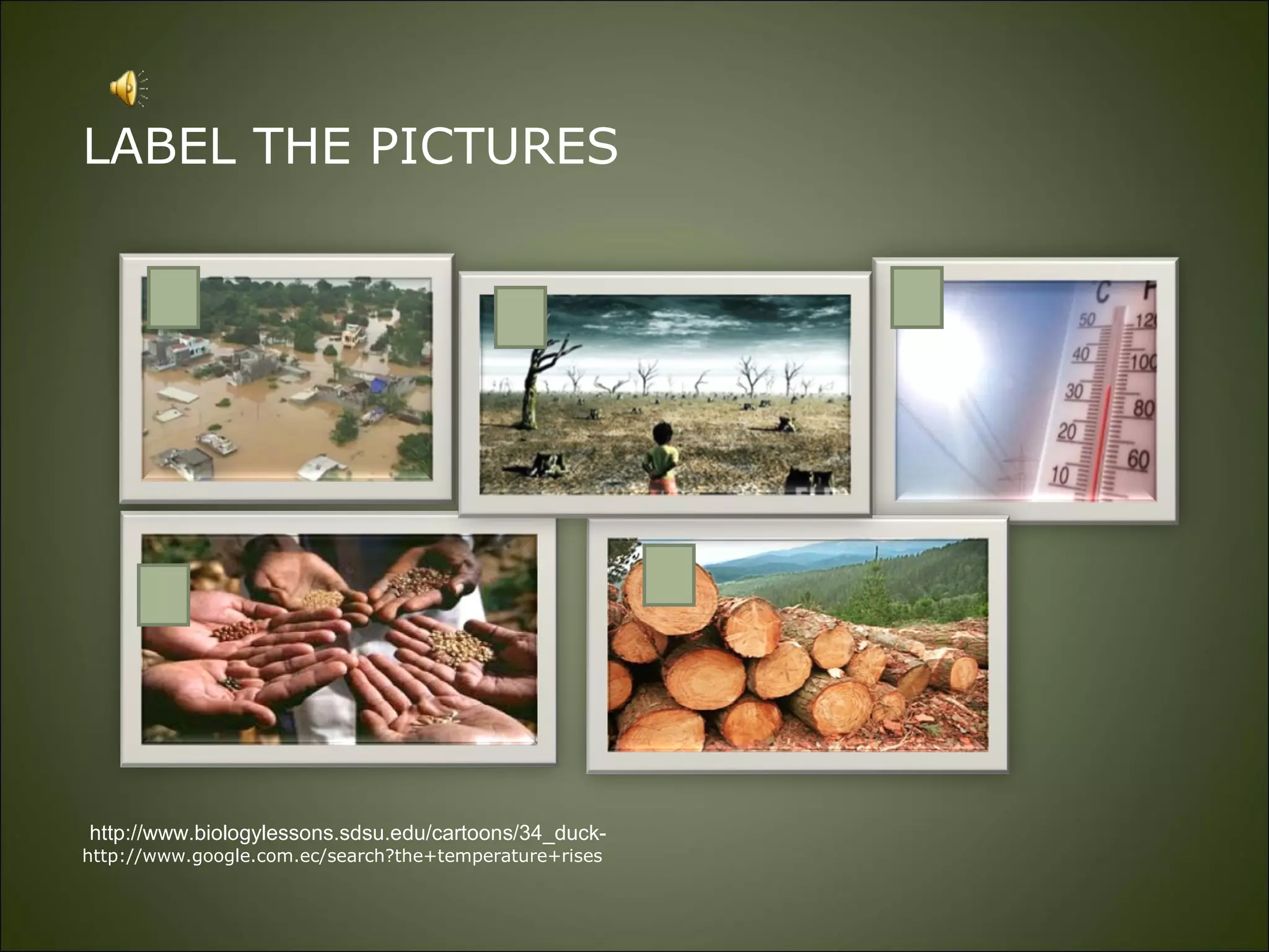 LABEL THE PICTURES http://www.biologylessons.sdsu.edu/cartoons/34_duck- http://www.google.com.ec/search?the+temperature+rises