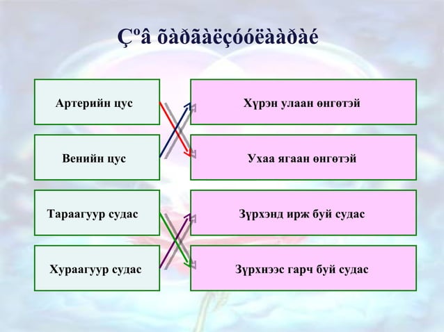 Цусны эргэлт