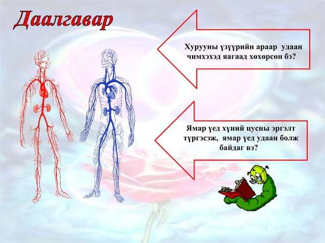 Цусны эргэлт