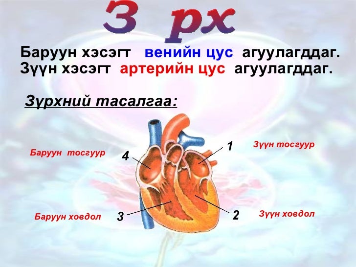 Цусны эргэлт
