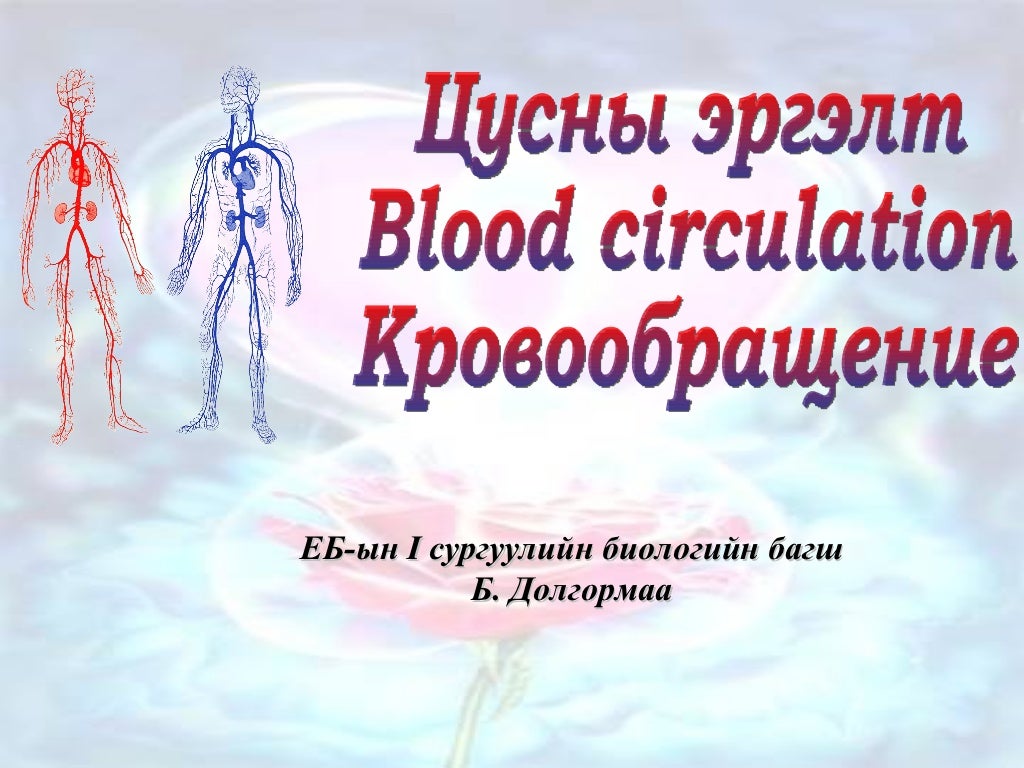 Цусны эргэлт