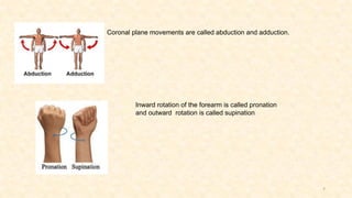 Outward Forearm Rotation introduction to Tractor ergonomics .pptx