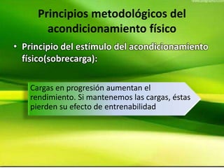 Principios metodológicos del
acondicionamiento físico
• Principio del estímulo del acondicionamiento
físico(sobrecarga):
Cargas en progresión aumentan el
rendimiento. Si mantenemos las cargas, éstas
pierden su efecto de entrenabilidad
 