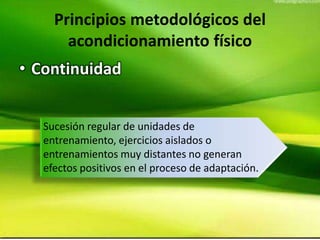 Principios metodológicos del
acondicionamiento físico
• Continuidad
Sucesión regular de unidades de
entrenamiento, ejercicios aislados o
entrenamientos muy distantes no generan
efectos positivos en el proceso de adaptación.
 
