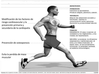 Modificación de los factores de
riesgo cardiovascular y la
prevención primaria y
secundaria de la cardiopatía
Prevención de osteoporosis
Evita la perdida de masa
muscular
 