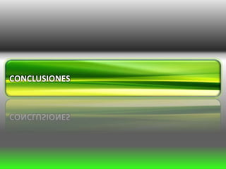 CONCLUSIONES
 