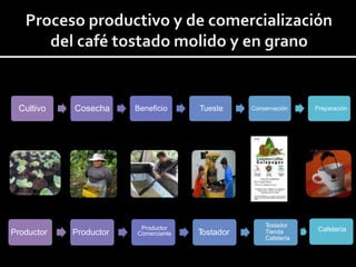 Cultivo Cosecha Beneficio Tueste Conservación Preparación
T
ostador
Tienda
Cafetería
Productor
Comerciante
Cafetería
Productor Productor T
ostador
 