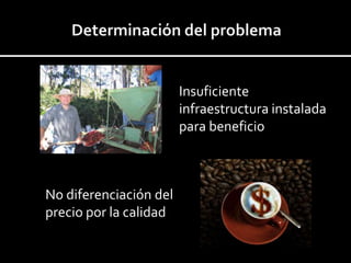 Insuficiente
infraestructura instalada
para beneficio
No diferenciación del
precio por la calidad
 