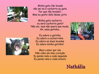 Minha gata tão levada não sei se é cachorra ou gata. Por que tão levada?... Mas eu gosto dela desse jeito.  Minha gata cachorra  ou será cachorra gata? Não sei, mas não quero que mude.  Ah, essa gatinha... Eu adoro a gatinha  Eu adoro a cachorrinha  Eu adoro as duas levadas  Eu adoro minha gatinha!  Mas o amor por ela  Não cabe em meu coração. Eu penso nela a cada segundo Eu penso nela a cada minuto . Nathália 