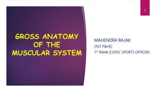 GROSS ANATOMY
OF THE
MUSCULAR SYSTEM
MAHENDRA RAJAK
(TGT P&HE)
1ST RANK (CGPSC SPORTS OFFICER)
1
 