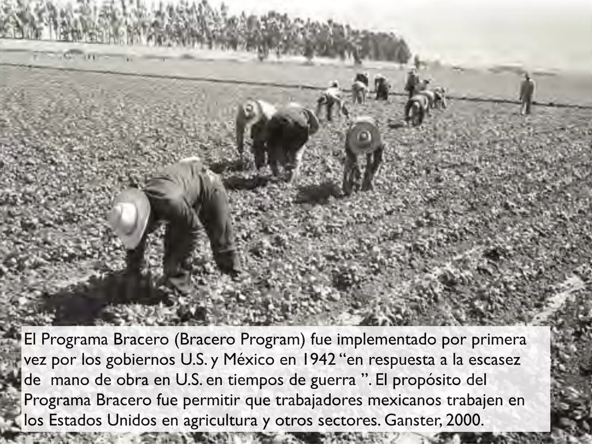 El Programa Bracero (Bracero Program) fue implementado por primera
vez por los gobiernos U.S. y México en 1942 “en respuesta a la escasez
de mano de obra en U.S. en tiempos de guerra ”. El propósito del
Programa Bracero fue permitir que trabajadores mexicanos trabajen en
los Estados Unidos en agricultura y otros sectores. Ganster, 2000.
 