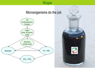 Microorganisms do the job Biogas H 2  + CO 2 Alcohols, simple acids Sugar Fatty- & amino  acids Acetate CH 4  + CO 2 Fat Carbohydrates Protein 