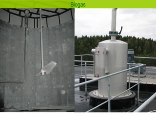 Biogas 