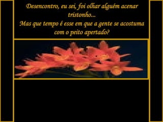 Desencontro, eu sei, foi olhar alguém acenar tristonho... Mas que tempo é esse em que a gente se acostuma com o peito apertado?   