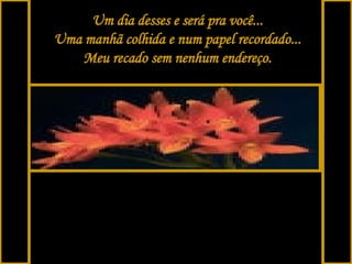 Um dia desses e será pra você... Uma manhã colhida e num papel recordado... Meu recado sem nenhum endereço. 