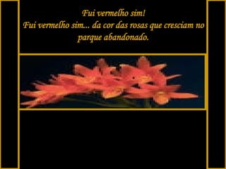 Fui vermelho sim! Fui vermelho sim... da cor das rosas que cresciam no parque abandonado. 