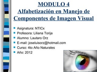 MODULO 4
 Alfabetización en Manejo de
Componentes de Imagen Visual
   Asignatura: NTICx
   Profesora: Liliana Torija
   Alumno: Lautaro Orz
   E-mail: joseluisorz@hotmail.com
   Curso: 4to Año Naturales
   Año: 2012
 