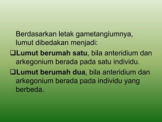 Berdasarkan letak gametangiumnya,
lumut dibedakan menjadi:
Lumut berumah satu, bila anteridium dan
arkegonium berada pada satu individu.
Lumut berumah dua, bila anteridium dan
arkegonium berada pada individu yang
berbeda.
 