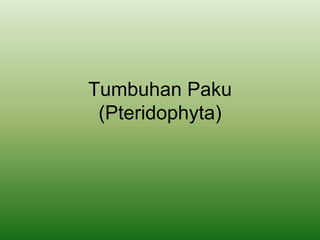 Tumbuhan Paku
(Pteridophyta)
 