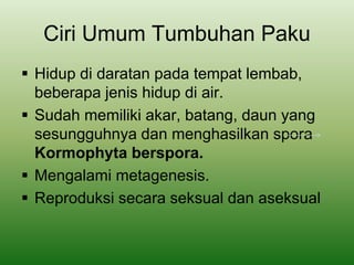 Ciri Umum Tumbuhan Paku
 Hidup di daratan pada tempat lembab,
beberapa jenis hidup di air.
 Sudah memiliki akar, batang, daun yang
sesungguhnya dan menghasilkan spora
Kormophyta berspora.
 Mengalami metagenesis.
 Reproduksi secara seksual dan aseksual
 