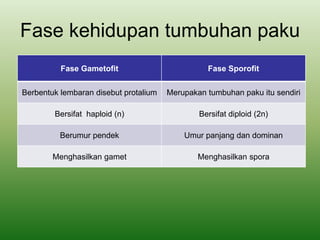 Fase kehidupan tumbuhan paku
Fase Gametofit Fase Sporofit
Berbentuk lembaran disebut protalium Merupakan tumbuhan paku itu sendiri
Bersifat haploid (n) Bersifat diploid (2n)
Berumur pendek Umur panjang dan dominan
Menghasilkan gamet Menghasilkan spora
 