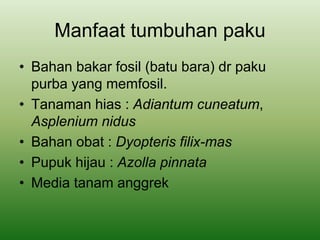 Manfaat tumbuhan paku
• Bahan bakar fosil (batu bara) dr paku
purba yang memfosil.
• Tanaman hias : Adiantum cuneatum,
Asplenium nidus
• Bahan obat : Dyopteris filix-mas
• Pupuk hijau : Azolla pinnata
• Media tanam anggrek
 