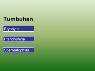 Tumbuhan
Bryopyta
Pteridophyta
Spermatophyta
 