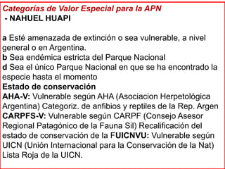 Categorías de Valor Especial para la APN
- NAHUEL HUAPI

a Esté amenazada de extinción o sea vulnerable, a nivel
general o en Argentina.
b Sea endémica estricta del Parque Nacional
d Sea el único Parque Nacional en que se ha encontrado la
especie hasta el momento
Estado de conservación
AHA-V: Vulnerable según AHA (Asociacion Herpetológica
Argentina) Categoriz. de anfibios y reptiles de la Rep. Argen
CARPFS-V: Vulnerable según CARPF (Consejo Asesor
Regional Patagónico de la Fauna Sil) Recalificación del
estado de conservación de la FUICNVU: Vulnerable según
UICN (Unión Internacional para la Conservación de la Nat)
Lista Roja de la UICN.
 