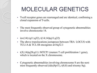 MOLECULAR GENETICS
 T-cell receptor genes are rearranged and are identical, confirming a
clonal expansion of T-cells.
 The most frequently observed group of cytogenetic abnormalities
involve chromosome 14.
 inv(14) (q11;q32), t(14;14)(q11;q32)
 The above translocations juxtaposes between TRA LOCUS with
TCL1A & TCL1B oncogenes at14q32.1
 t(X;14)(q28;q11) :MTCP1 (mature T cell proliferation 1 gene),
which is located on the X chromosome.
 Cytogenetic abnormalities involving chromosome 8 are the next
most frequently observed (idic(8p11), t(8;8) and trisomy 8q).
 
