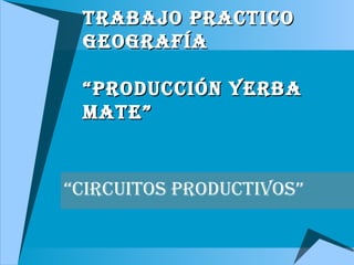 Trabajo Practico geografía “Producción Yerba Mate” “ Circuitos Productivos” 