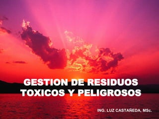 GESTION DE RESIDUOS TOXICOS Y PELIGROSOS ING. LUZ CASTAÑEDA, MSc. 
