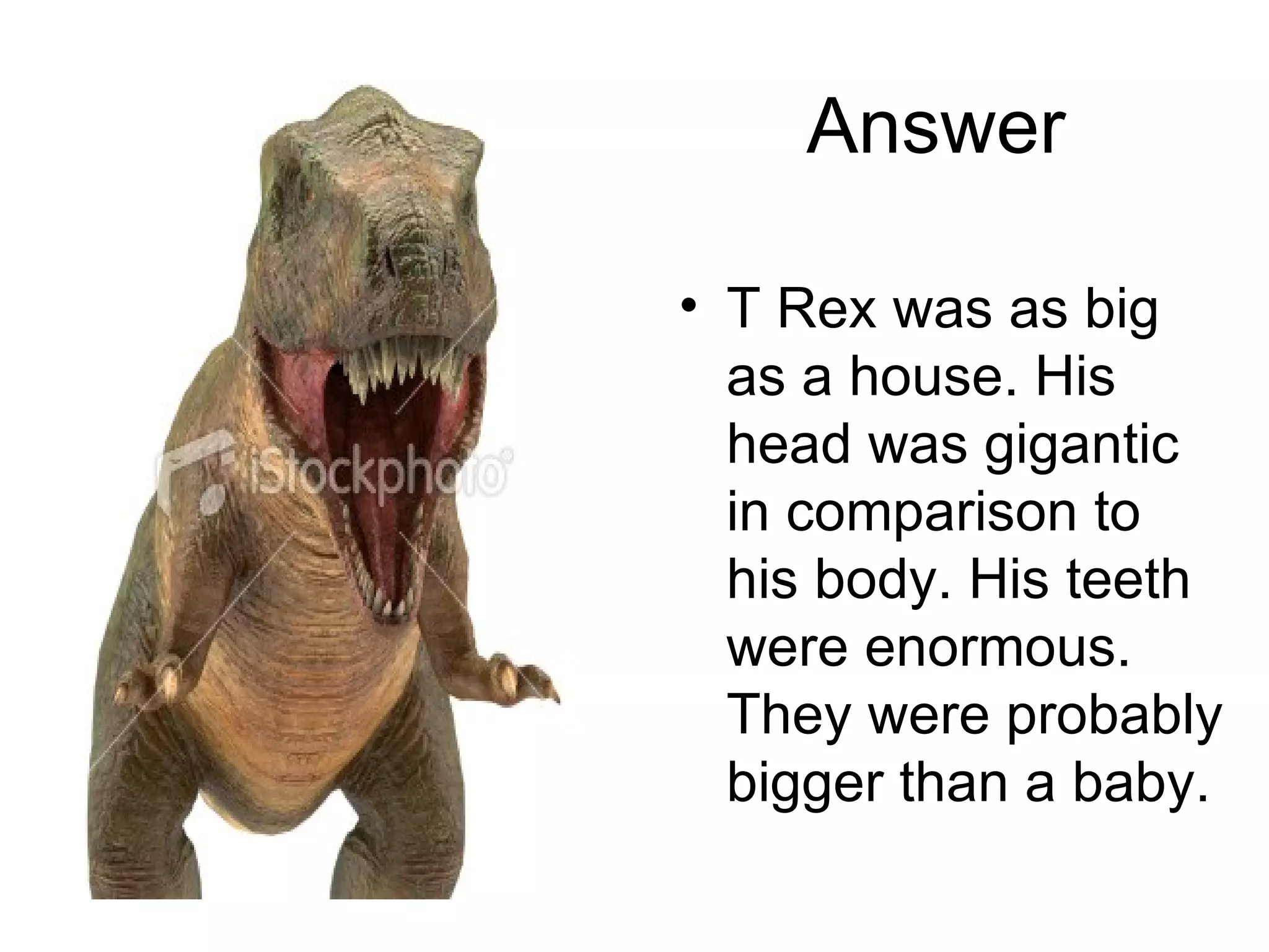 Answer T Rex was as big as a house. His head was gigantic in comparison to his body. His teeth were enormous. They were probably bigger than a baby. 