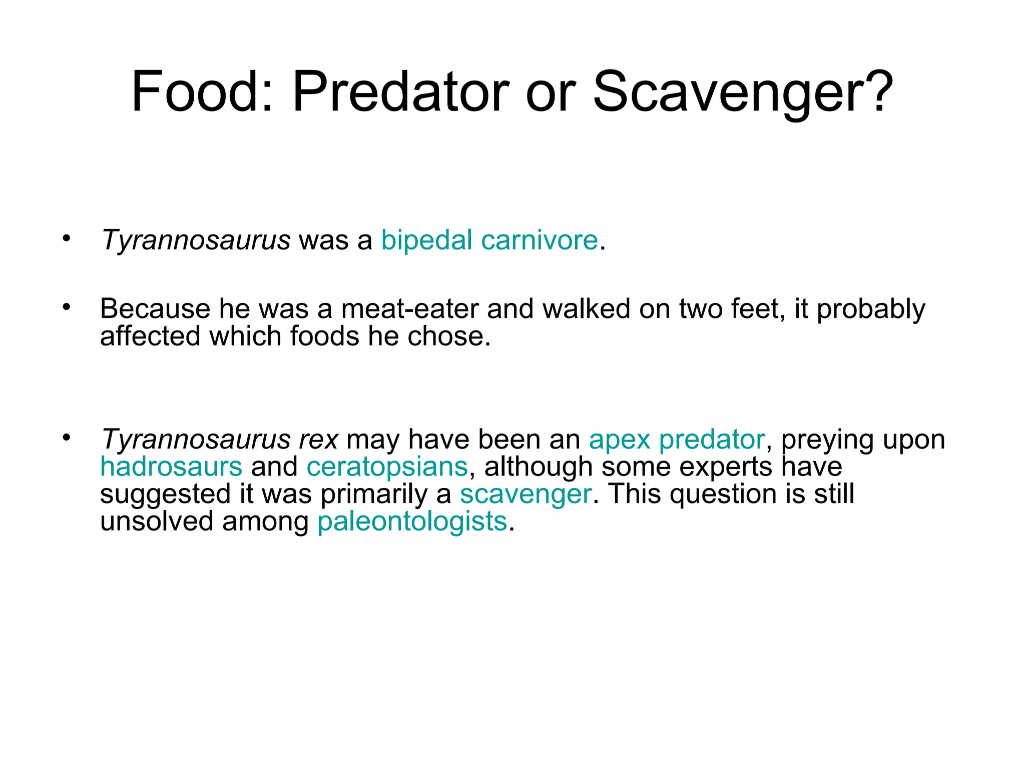 Food: Predator or Scavenger? Tyrannosaurus  was a  bipedal   carnivore .  Because he was a meat-eater and walked on two feet, it probably affected which foods he chose. Tyrannosaurus rex  may have been an  apex predator , preying upon  hadrosaurs  and  ceratopsians , although some experts have suggested it was primarily a  scavenger . This question is still unsolved among  paleontologists . 