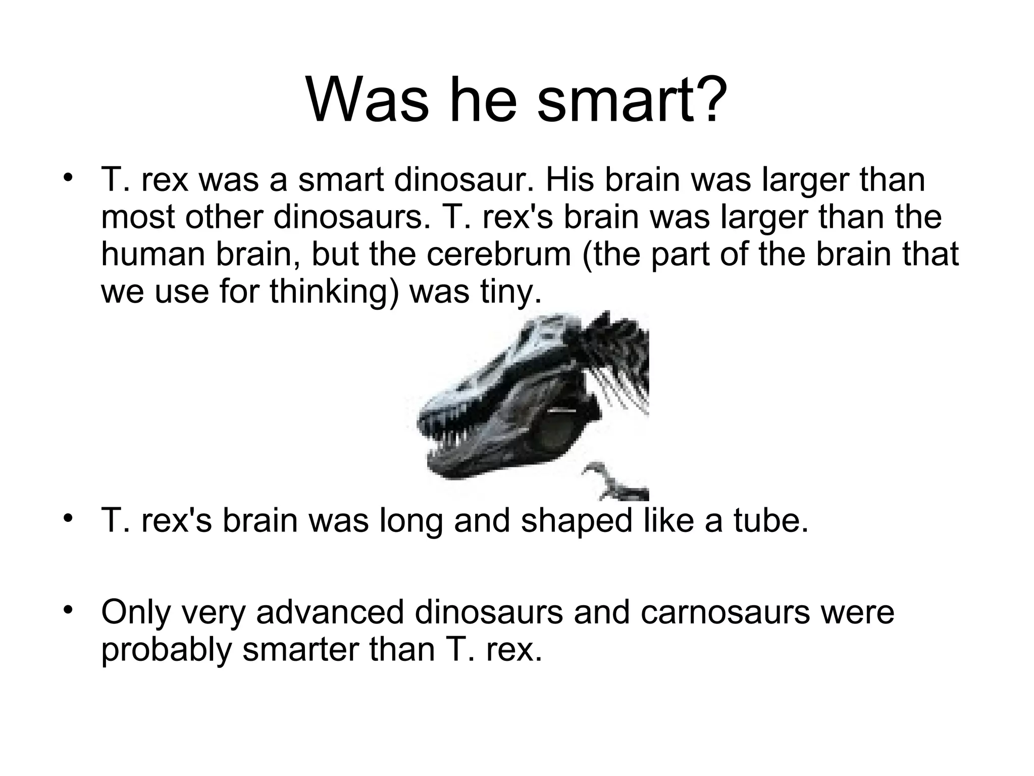 Was he smart? T. rex was a smart dinosaur. His brain was larger than most other dinosaurs. T. rex's brain was larger than the human brain, but the cerebrum (the part of the brain that we use for thinking) was tiny.  T. rex's brain was long and shaped like a tube. Only very advanced dinosaurs and carnosaurs were probably smarter than T. rex.  