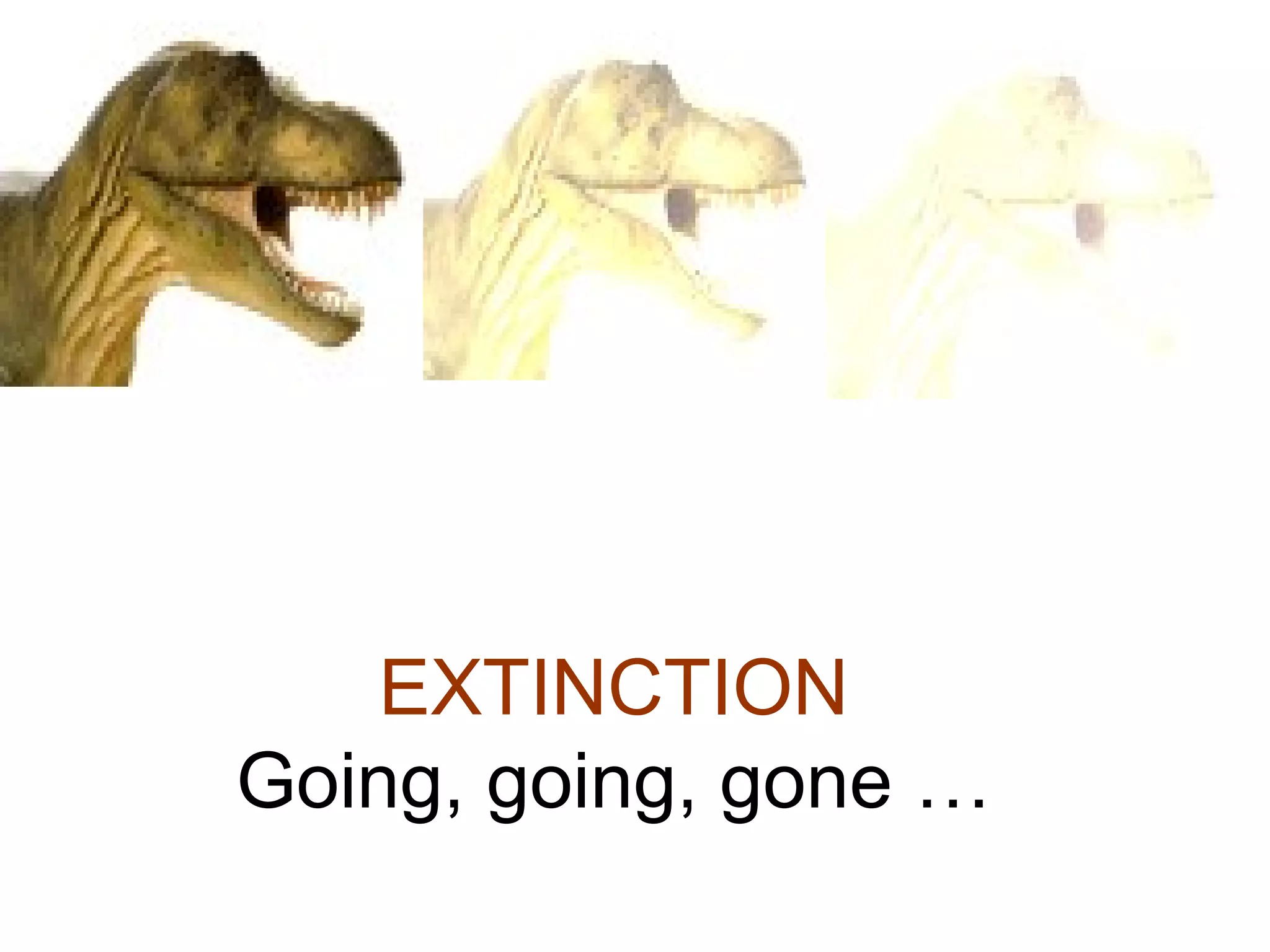 EXTINCTION Going, going, gone … 
