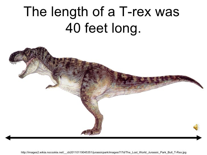 t rex dimensions