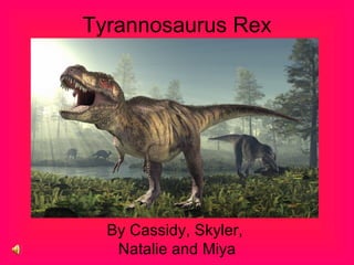 Tyrannosaurus Rex




  By Cassidy, Skyler,
   Natalie and Miya
 