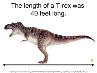 The length of a T-rex was
40 feet long.
http://images2.wikia.nocookie.net/__cb20110119045351/jurassicpark/images/7/7d/The_Lost_World_Jurassic_Park_Bull_T-Rex.jpg