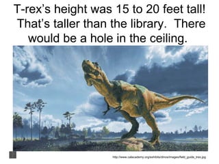 T-rex’s height was 15 to 20 feet tall!
That’s taller than the library. There
would be a hole in the ceiling.
http://www.calacademy.org/exhibits/dinos/images/field_guide_trex.jpg