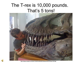The T-rex is 10,000 pounds.
That’s 5 tons!
http://www.nerdist.com/wp-content/uploads/2009/02/frenching-t-rex.jpg