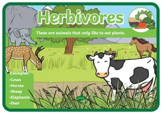 Herbivores
Herbivores
Herbivores
Herbivores
These are animals that only like to eat plants.
•Cows
•Horses
•Sheep
•Elephants
•Deer
Examples:
Examples:
visit twinkl.com
 