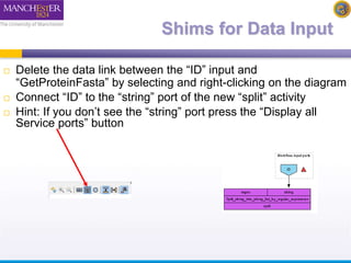 Shims for Data Input 
 Delete the data link between the “ID” input and 
“GetProteinFasta” by selecting and right-clicking on the diagram 
 Connect “ID” to the “string” port of the new “split” activity 
 Hint: If you don’t see the “string” port press the “Display all 
Service ports” button 
 