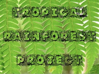 Rainforest T-shirt