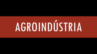 AGROINDÚSTRIA  