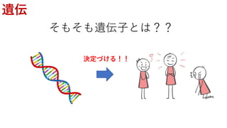 遺伝
そもそも遺伝子とは？？
決定づける！！
 