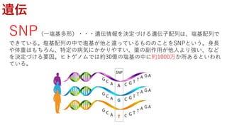 遺伝
SNP（一塩基多形）・・・遺伝情報を決定づける遺伝子配列は、塩基配列で
できている。塩基配列の中で塩基が他と違っているもののことをSNPという。身長
や体重はもちろん、特定の病気にかかりやすい、薬の副作用が他人より強い、など
を決定づける要因。ヒトゲノムでは約30億の塩基の中に約1000万か所あるといわれ
ている。
 