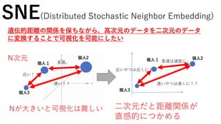 SNE(Distributed Stochastic Neighbor Embedding)
個人１
個人2
個人3
遠い！！
近い！
普通。
遺伝的距離の関係を保ちながら，高次元のデータを二次元のデータ
に変換することで可視化を可能にしたい
N次元
二次元だと距離関係が
直感的につかめる
個人１ 個人2
遠いやつは遠くに！！
近いやつは近くに！
普通は適度に。
個人3
Nが大きいと可視化は難しい
 