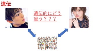 遺伝
遺伝的にどう
違う？？？
 